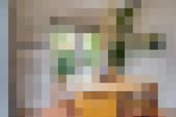 Dr. H.J. Lovinklaan 1 Utrecht thumbnail 25