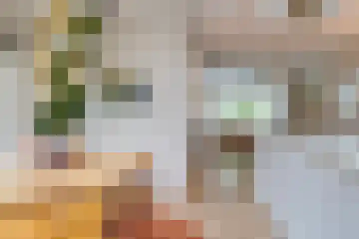 Dr. H.J. Lovinklaan 1 Utrecht thumbnail 26