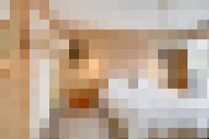 Dr. H.J. Lovinklaan 1 Utrecht thumbnail 33