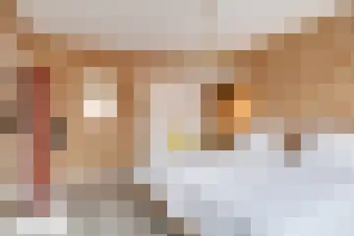 Dr. H.J. Lovinklaan 1 Utrecht thumbnail 35