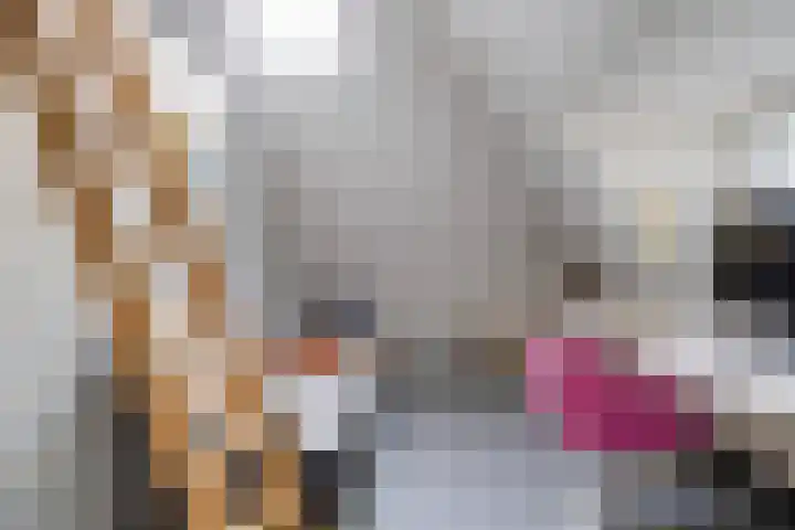 Dr. H.J. Lovinklaan 1 Utrecht thumbnail 44