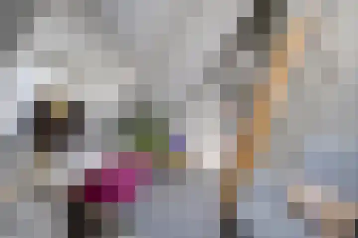 Dr. H.J. Lovinklaan 1 Utrecht thumbnail 45