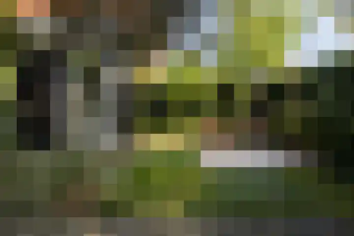Dr. H.J. Lovinklaan 1 Utrecht thumbnail 58