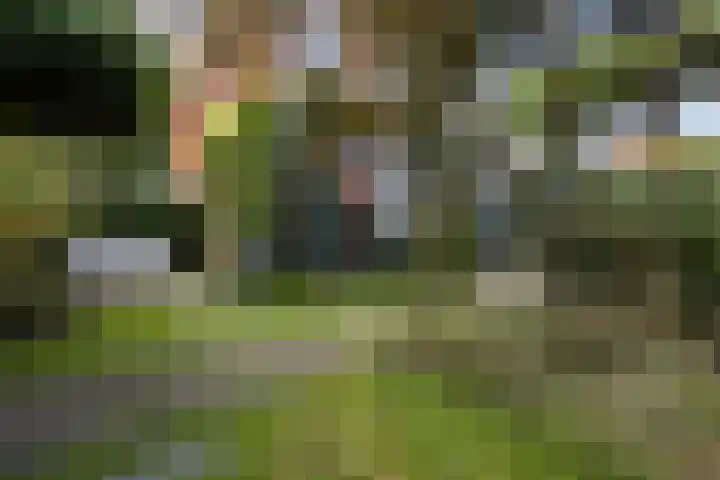 Dr. H.J. Lovinklaan 1 Utrecht thumbnail 63