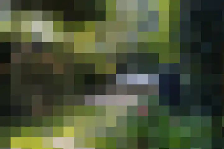 Dr. H.J. Lovinklaan 1 Utrecht thumbnail 64