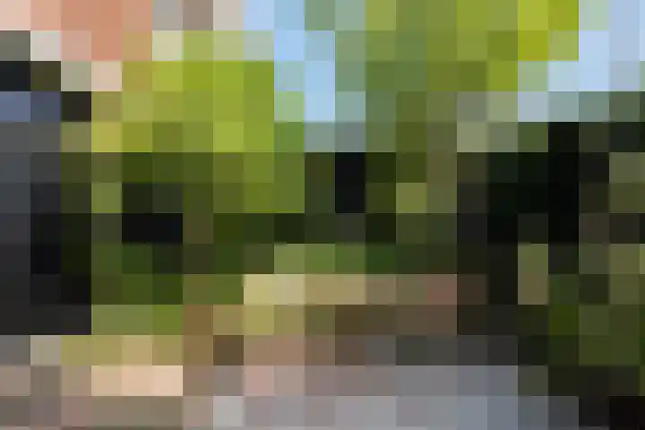 Dr. H.J. Lovinklaan 1 Utrecht thumbnail 65