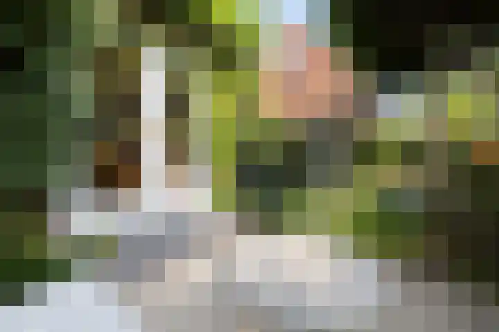 Dr. H.J. Lovinklaan 1 Utrecht thumbnail 68