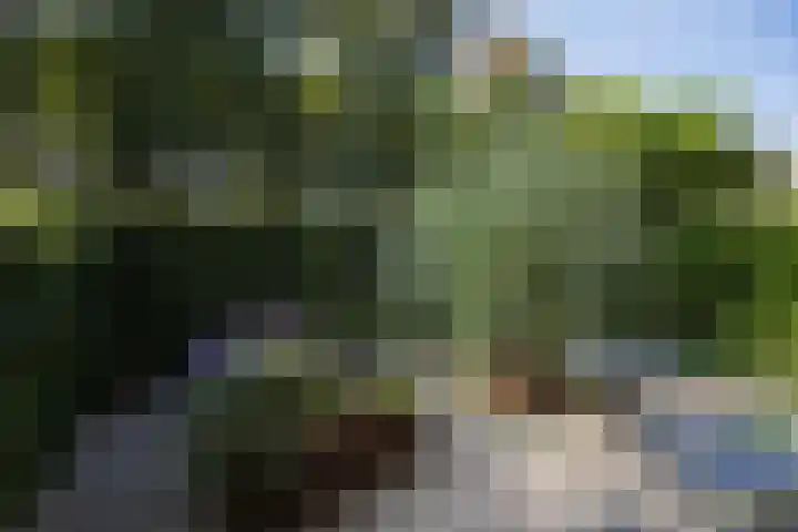 Dr. H.J. Lovinklaan 1 Utrecht thumbnail 75
