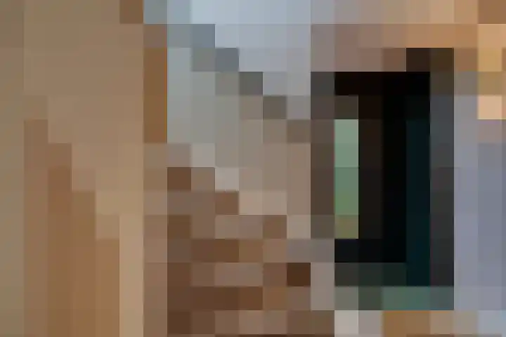 Dr. H.J. Lovinklaan 1 Utrecht thumbnail 9