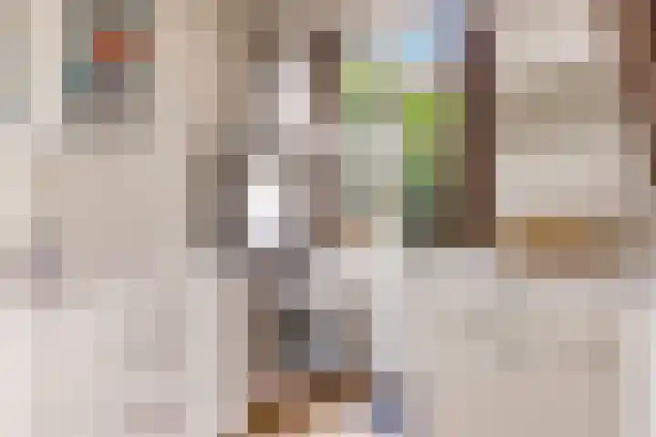 Dr. H.J. Lovinklaan 8 Utrecht thumbnail 11