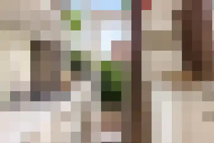 Dr. H.J. Lovinklaan 8 Utrecht thumbnail 12