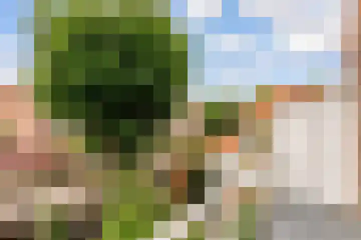 Dr. H.J. Lovinklaan 8 Utrecht thumbnail 16