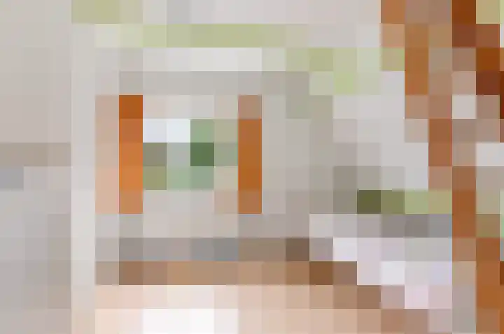 Dr. H.J. Lovinklaan 8 Utrecht thumbnail 28
