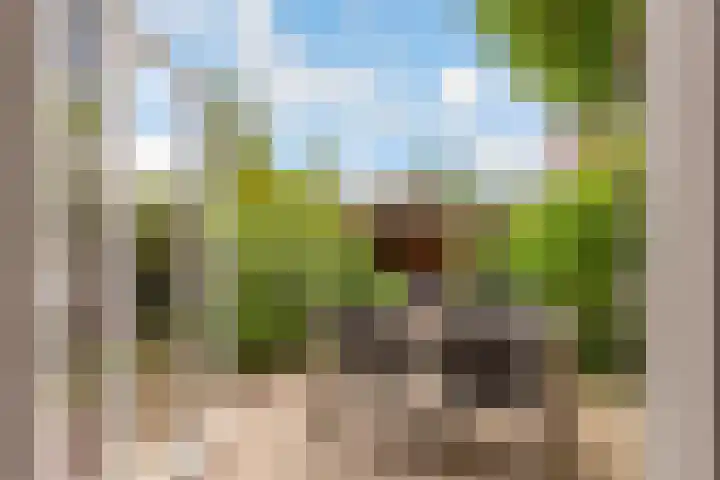 Dr. H.J. Lovinklaan 8 Utrecht thumbnail 30