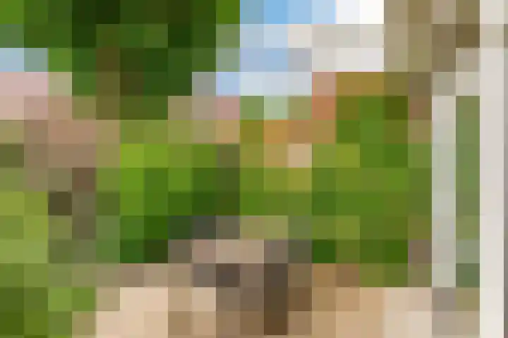 Dr. H.J. Lovinklaan 8 Utrecht thumbnail 31