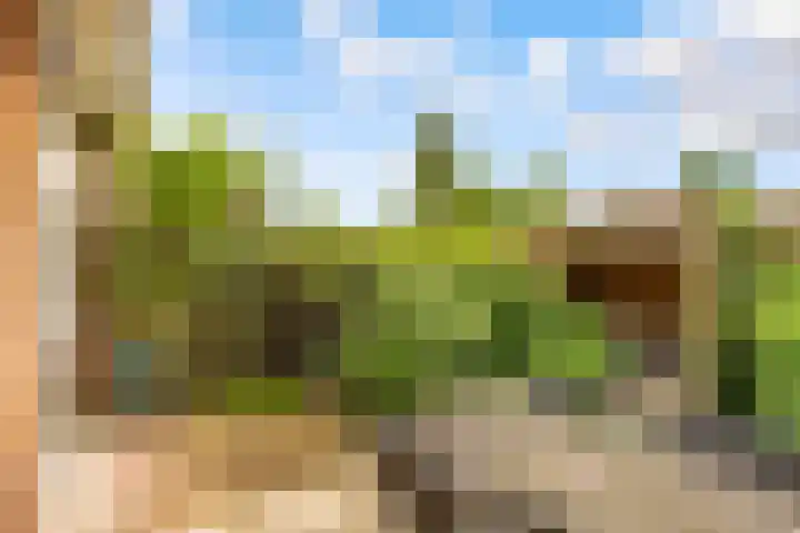 Dr. H.J. Lovinklaan 8 Utrecht thumbnail 32