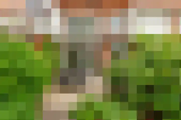 Dr. H.J. Lovinklaan 8 Utrecht thumbnail 33