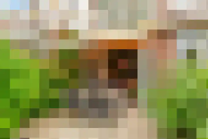 Dr. H.J. Lovinklaan 8 Utrecht thumbnail 34