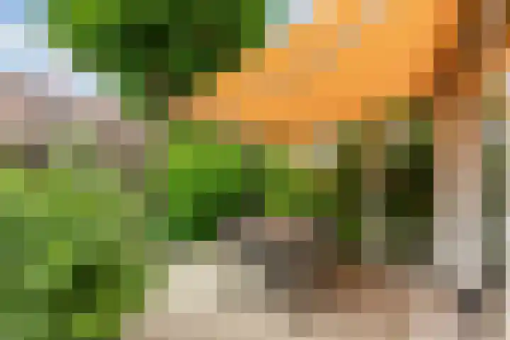 Dr. H.J. Lovinklaan 8 Utrecht thumbnail 35