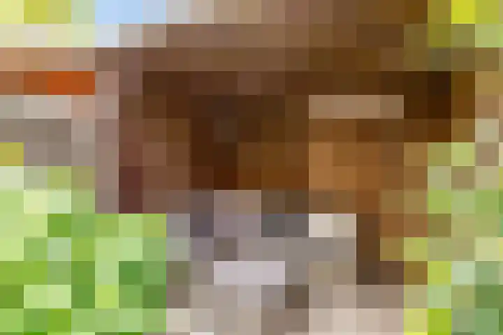 Dr. H.J. Lovinklaan 8 Utrecht thumbnail 36