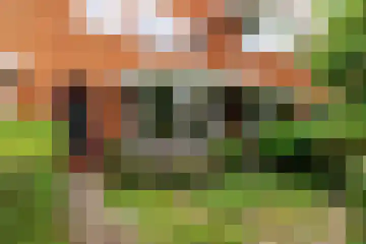 Dr. H.J. Lovinklaan 8 Utrecht thumbnail 37