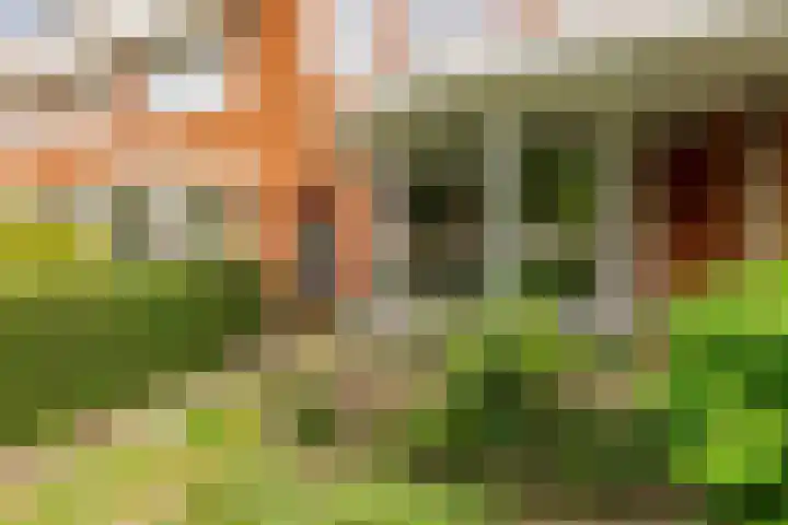 Dr. H.J. Lovinklaan 8 Utrecht thumbnail 38