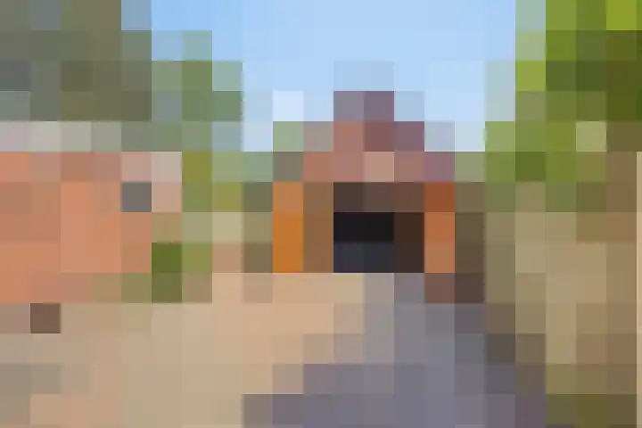 Dr. H.J. Postlaan 46 Bergentheim thumbnail 32