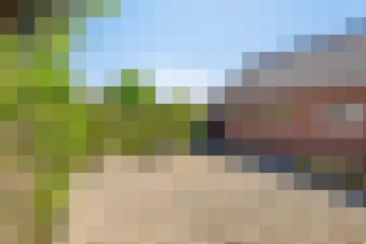 Dr. H.J. Postlaan 46 Bergentheim thumbnail 36