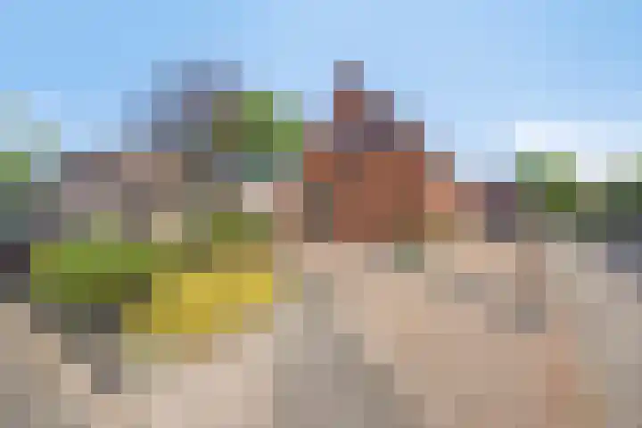 Dr. H.J. Postlaan 46 Bergentheim thumbnail 7