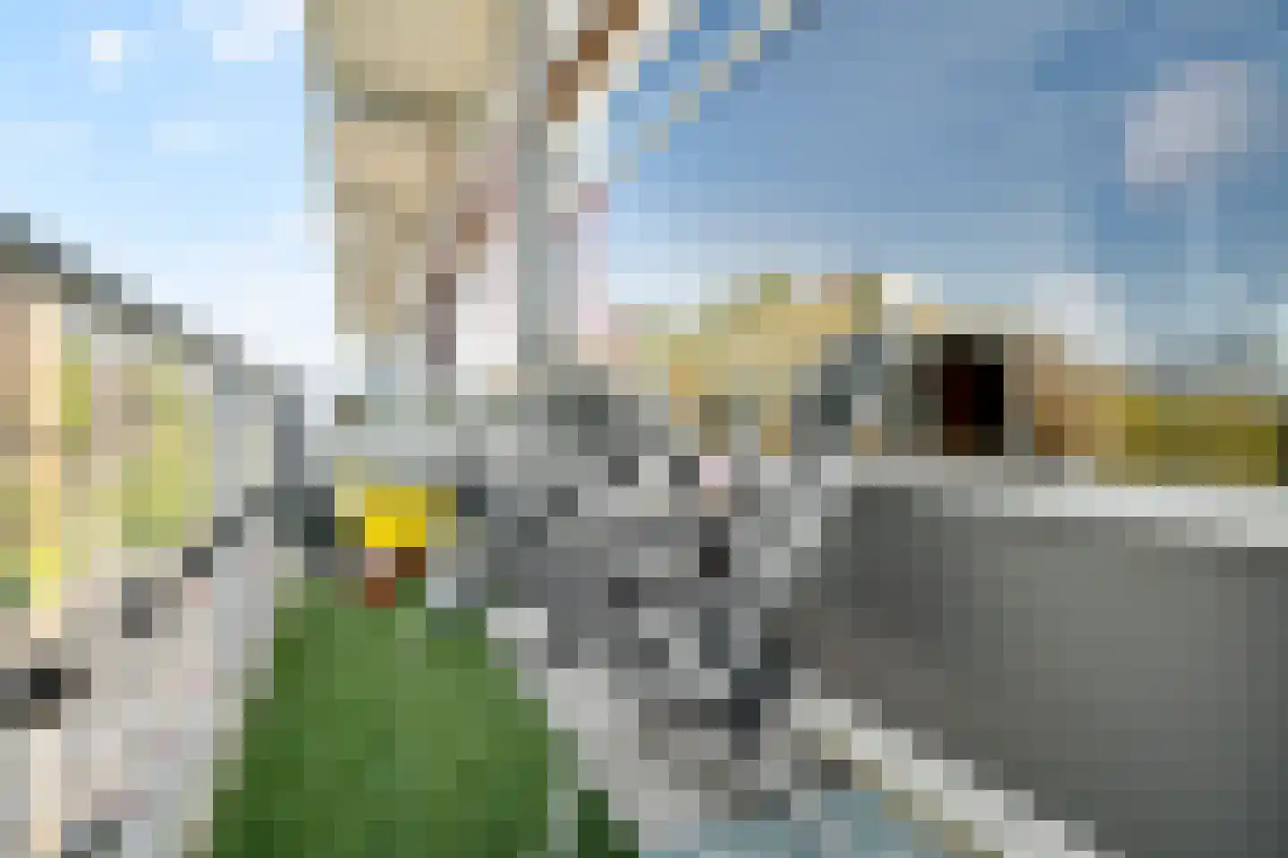 Dr H.J. van Mooklaan 203 Rijswijk thumbnail 11