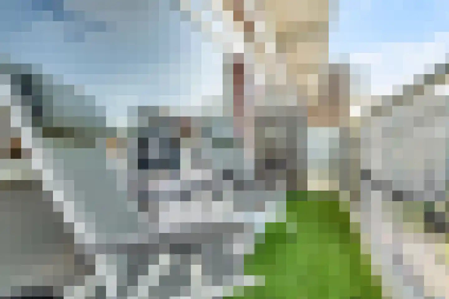 Dr H.J. van Mooklaan 203 Rijswijk thumbnail 12