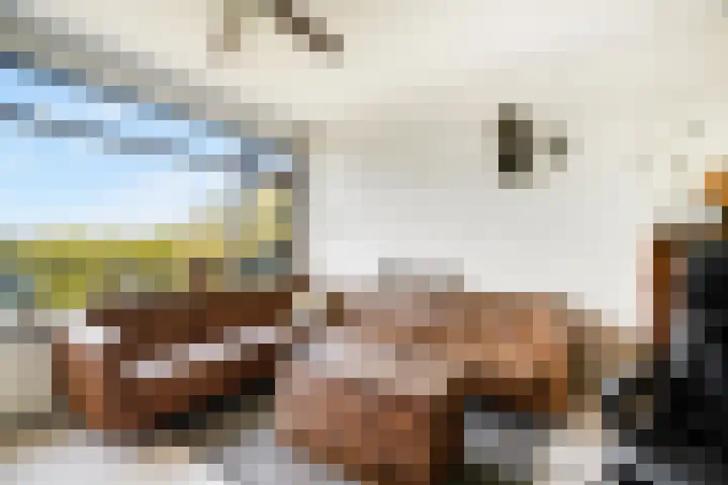 Dr H.J. van Mooklaan 203 Rijswijk thumbnail 13