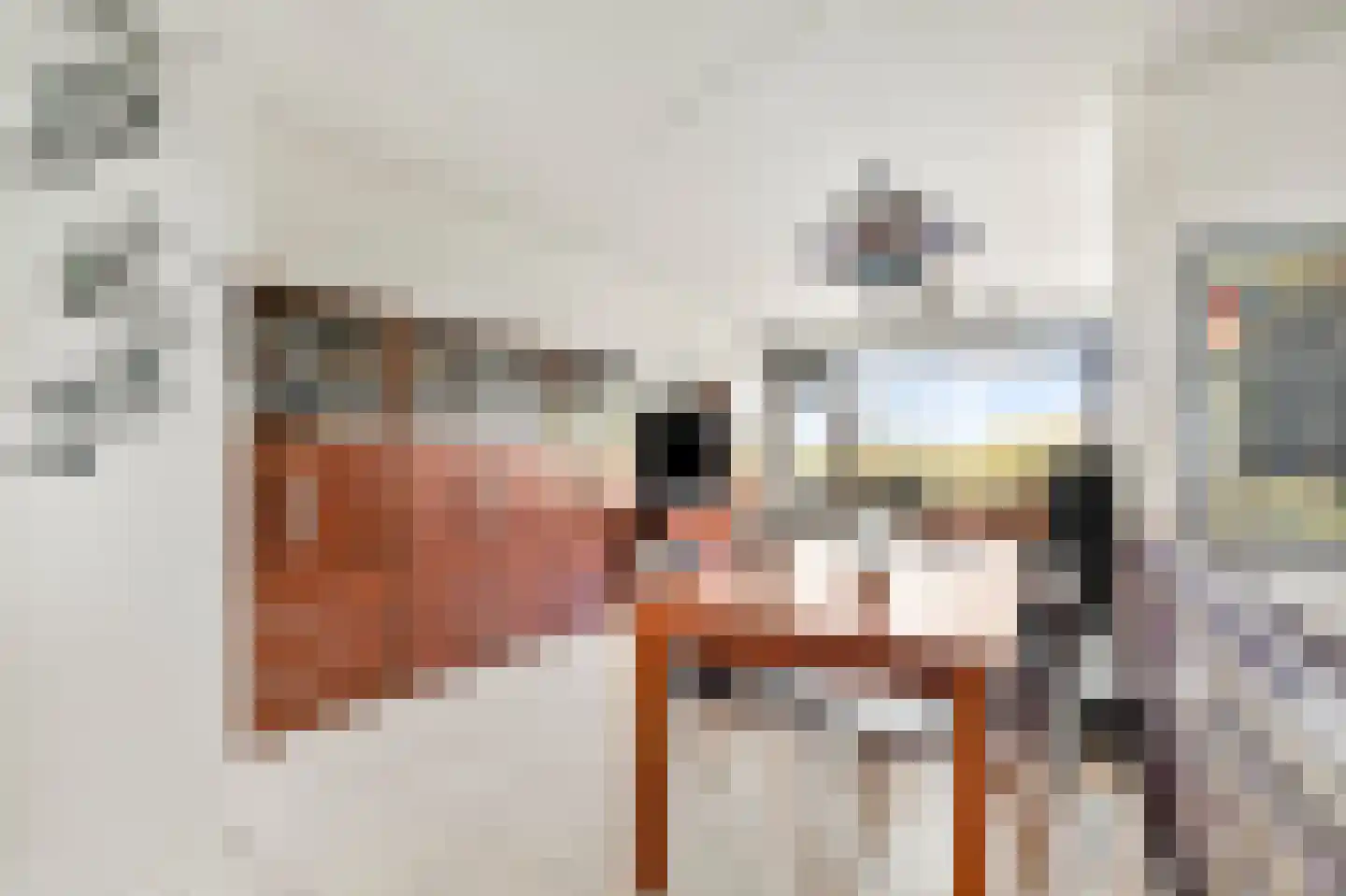Dr H.J. van Mooklaan 203 Rijswijk thumbnail 14