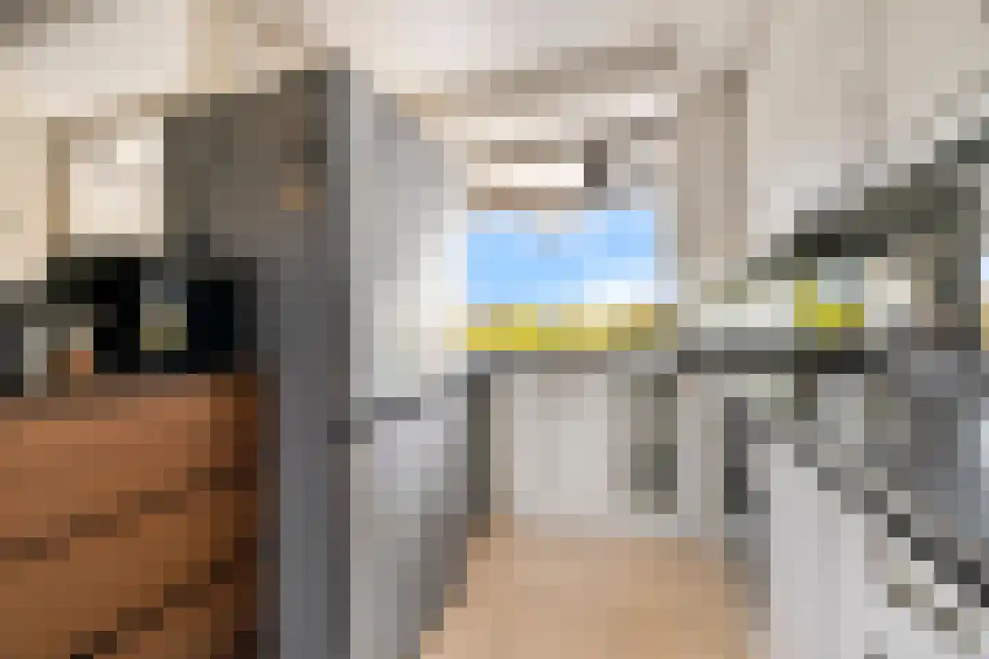 Dr H.J. van Mooklaan 203 Rijswijk thumbnail 18