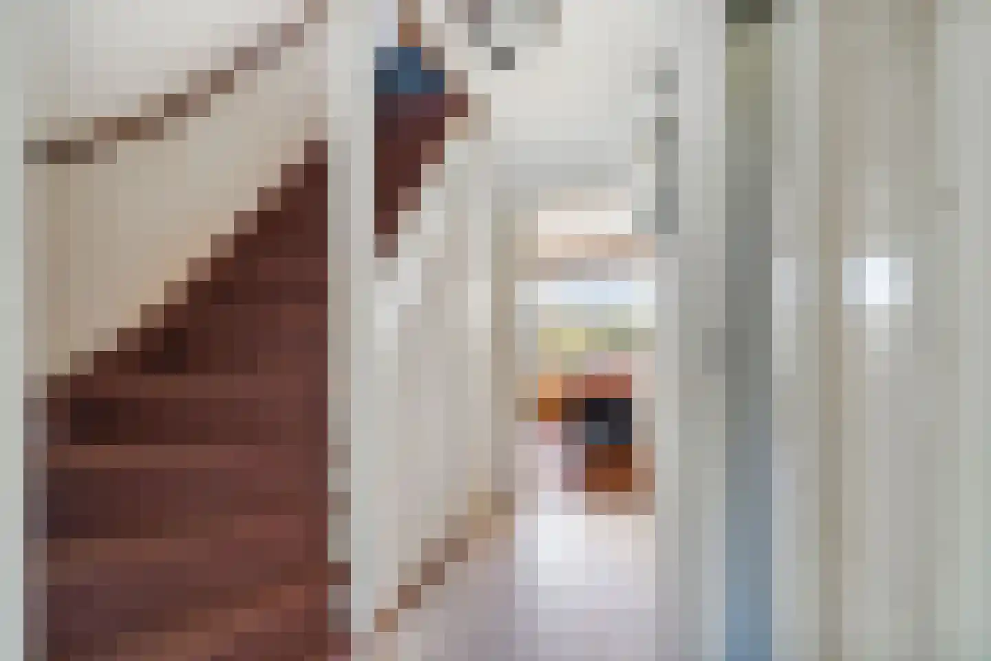Dr H.J. van Mooklaan 203 Rijswijk thumbnail 19