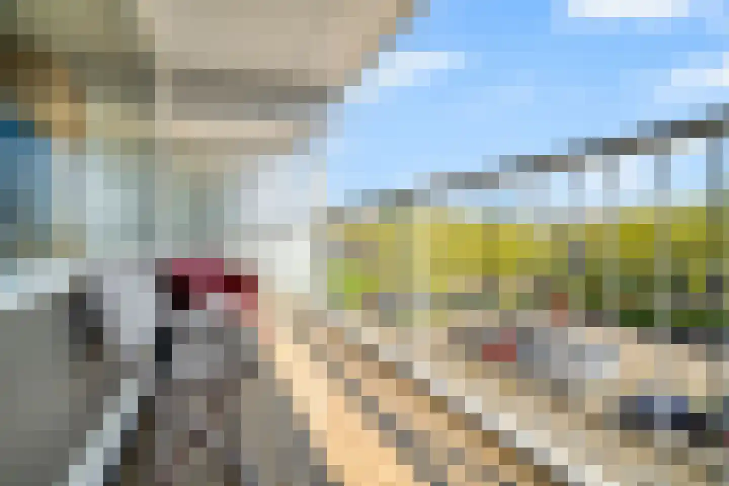 Dr H.J. van Mooklaan 203 Rijswijk thumbnail 23