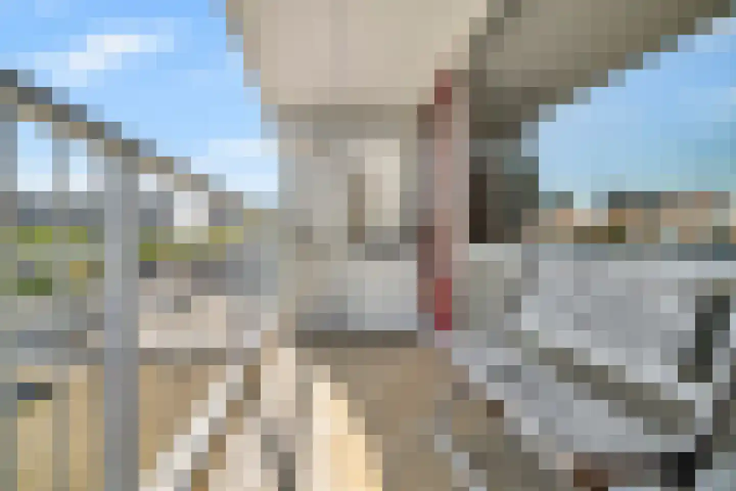 Dr H.J. van Mooklaan 203 Rijswijk thumbnail 24