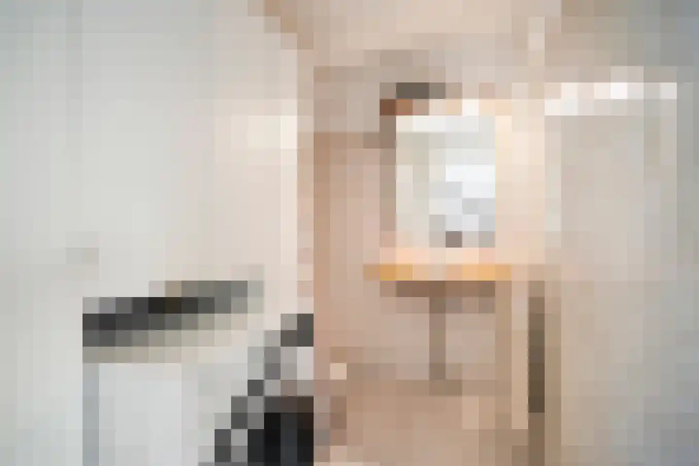 Dr H.J. van Mooklaan 203 Rijswijk thumbnail 29