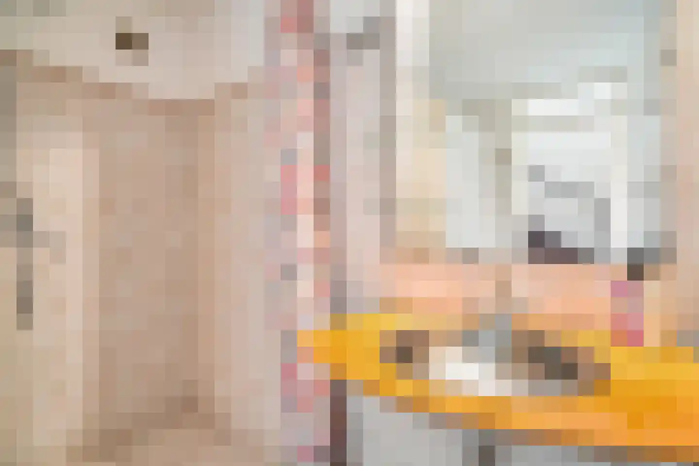 Dr H.J. van Mooklaan 203 Rijswijk thumbnail 30