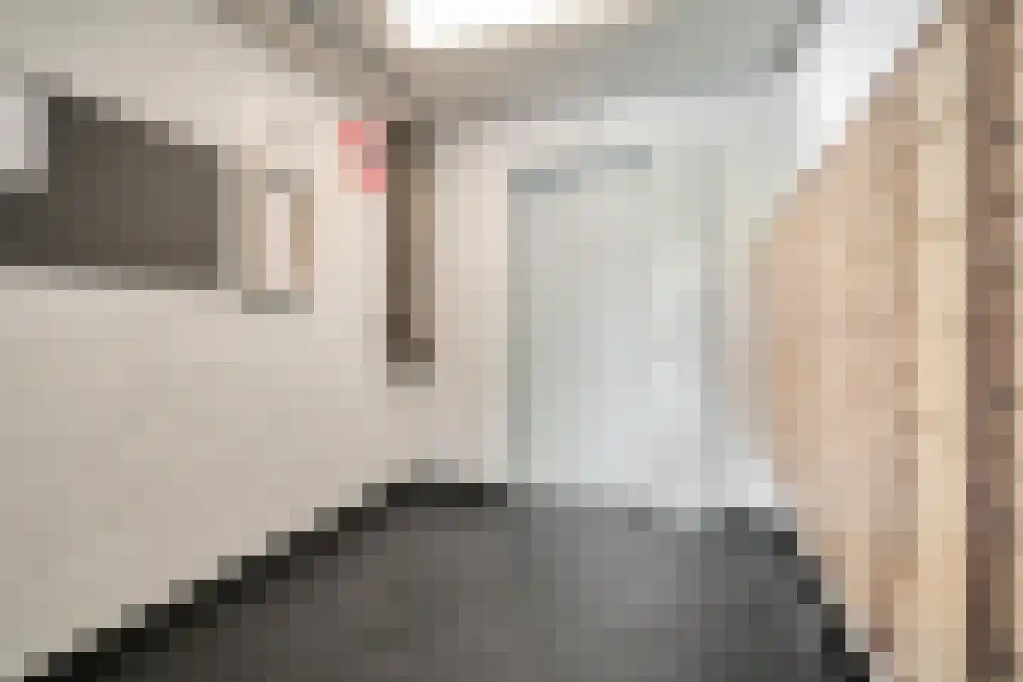 Dr H.J. van Mooklaan 203 Rijswijk thumbnail 7