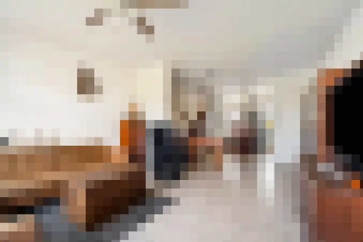 Dr H.J. van Mooklaan 203 Rijswijk thumbnail 9