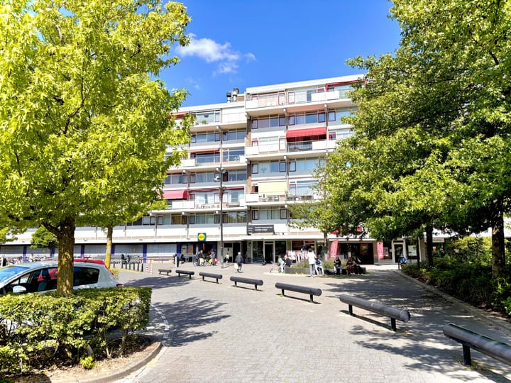 Dr H.J. van Mooklaan 211 in Rijswijk