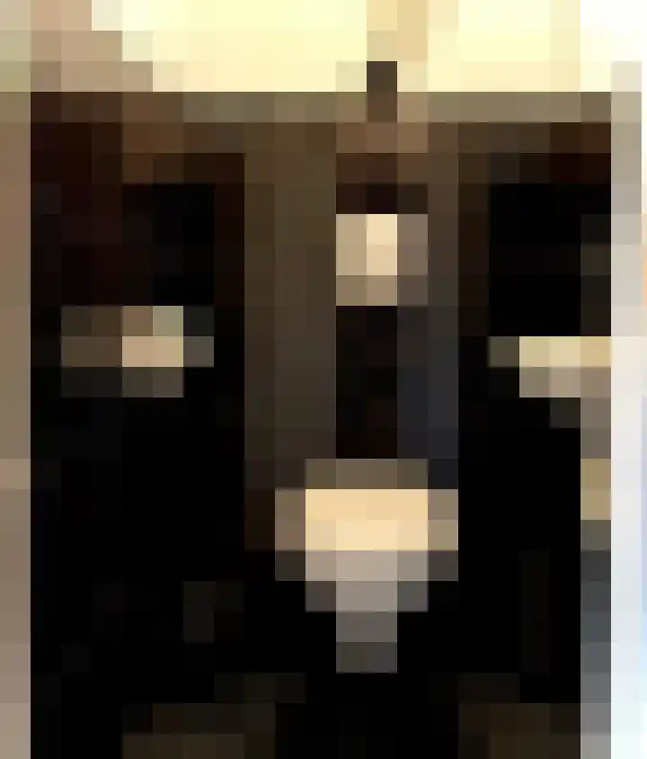 Dr H.J. van Mooklaan 211 Rijswijk thumbnail 10