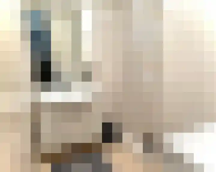 Dr H.J. van Mooklaan 211 Rijswijk thumbnail 11