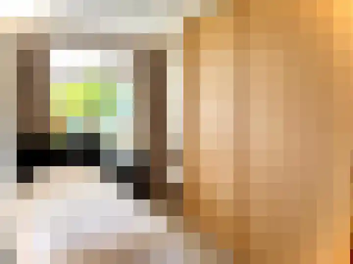 Dr H.J. van Mooklaan 211 Rijswijk thumbnail 12