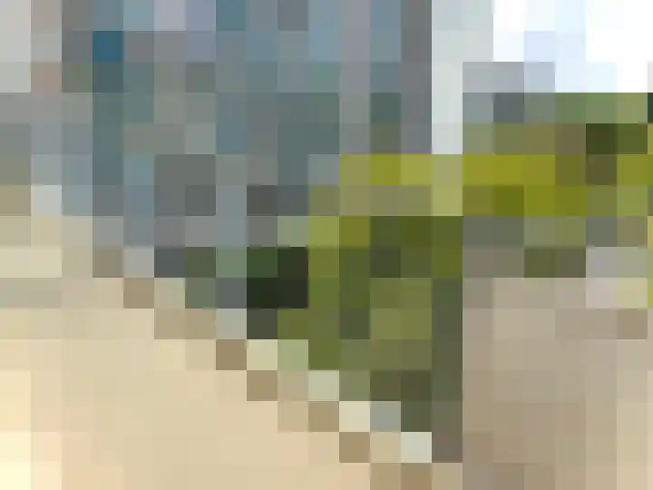 Dr H.J. van Mooklaan 211 Rijswijk thumbnail 6