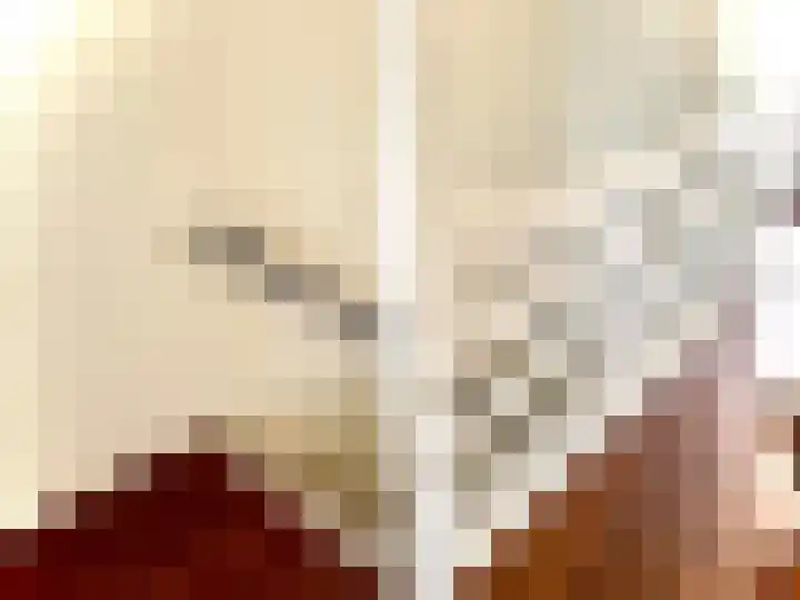 Dr H.J. van Mooklaan 211 Rijswijk thumbnail 8