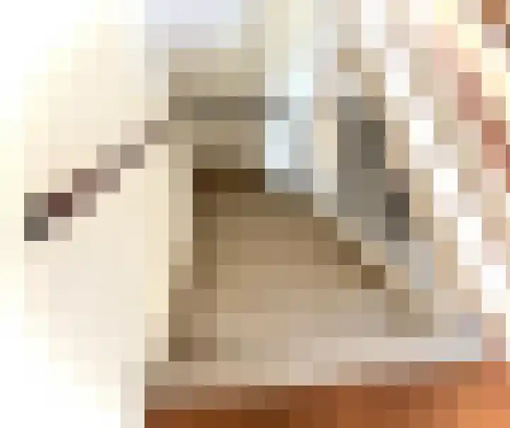 Dr H.J. van Mooklaan 211 Rijswijk thumbnail 9