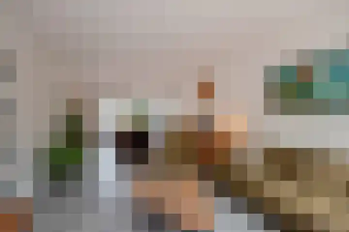 Dr H.J. van Mooklaan 50 Rijswijk thumbnail 10