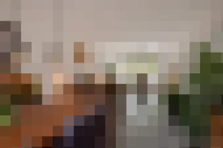 Dr H.J. van Mooklaan 50 Rijswijk thumbnail 11
